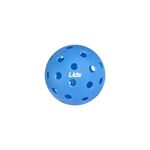 40 Hole Outdoor Pickleball - Blue