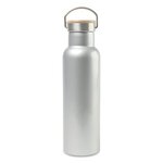 Aviana(TM) Metallics Double Wall Stainless Steel Bottle - 20 Oz - Metallic Silver