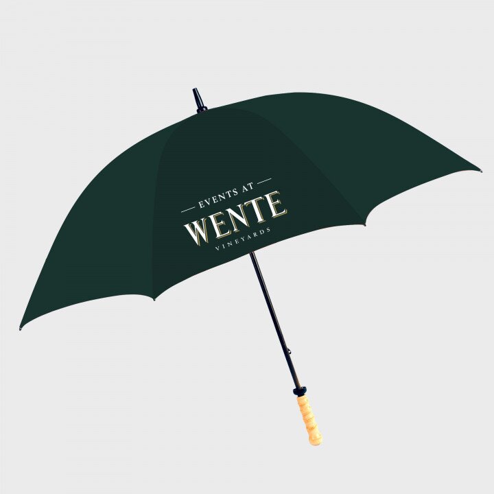 Main Product Image for Custom Printed Golf Umbrella with RainAlertz App