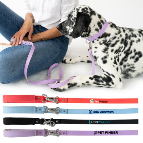 Main Product Image for Custom Printed Springer Dog Leash