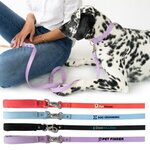 Custom Printed Springer Dog Leash -  