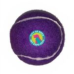 Full Color Pet Tennis Ball Toy - Purple