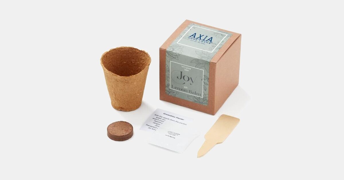 Grow Some Joy Planter in Gift Box with your logo | MiniThrowBalls.com