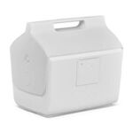 Igloo® Kooltunes® 14 Qt Cooler -  