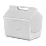 Igloo® Kooltunes® 14 Qt Cooler -  