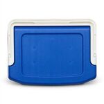 Igloo® Profile II 16 Qt Cooler -  