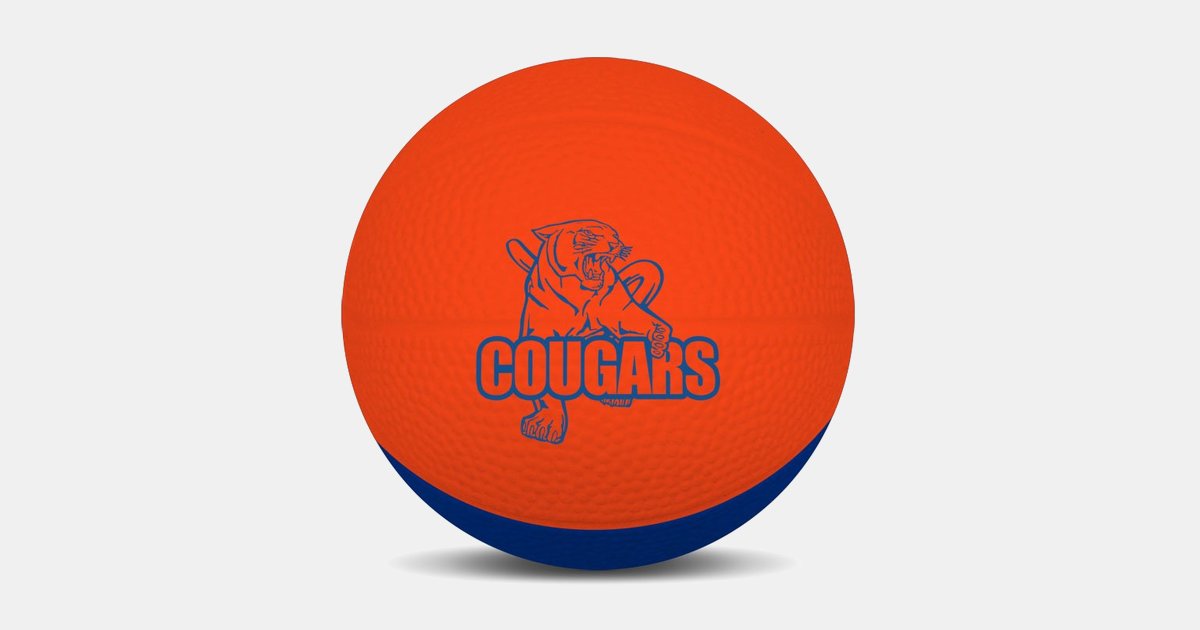 nerf mini basketball