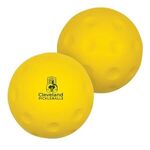 Pickle Ball Stress Ball -  