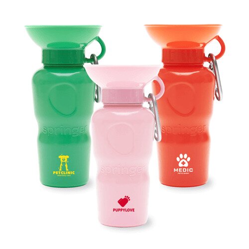 Main Product Image for Springer 22oz Mini Travel Bottle