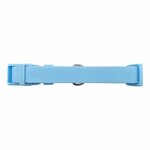 Springer Medium Dog Collar - Sky Blue