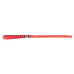 Springer Small Dog Leash - Poppy