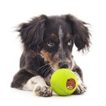 Toy Tennis Ball -  