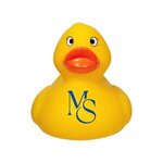 Weighted Racing Duck -  